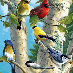Пазл: Певчие птицы