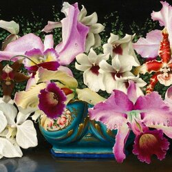 Пазл: Ваза с орхидеями 