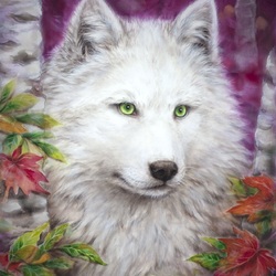 Пазл: Белый волк