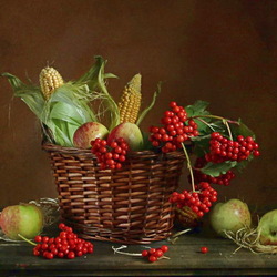 Пазл: Натюрморт с калиной, яблоками и кукурузой