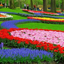 Пазл: Парк цветов Кёкенхоф 