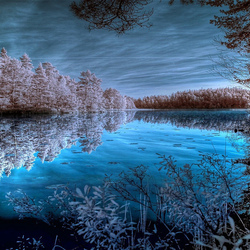 Пазл: Озеро среди деревьев 