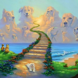 Пазл: Собачьи небеса