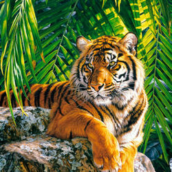 Пазл: Тигр Суматры
