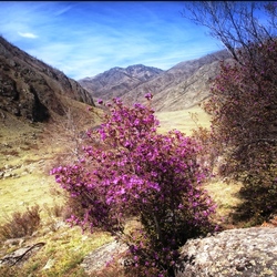 Пазл: В горах весна