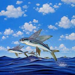 Пазл: Летающие рыбы