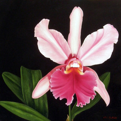 Пазл: Орхидея 