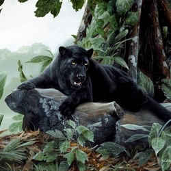 Пазл: Черная пантера