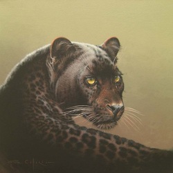 Пазл: Черный леопард