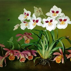 Пазл: Орхидеи в саду