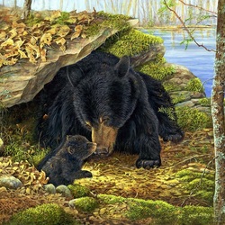 Пазл: Черные медведи