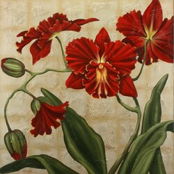 Пазл: Красные орхидеи