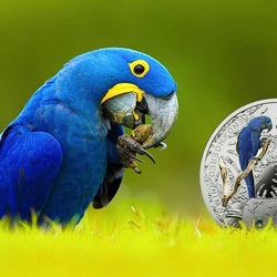 Пазл: Необычные монеты