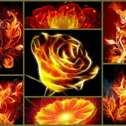 Пазл: Огненные цветы