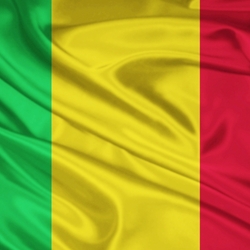Пазл: Флаг Мали