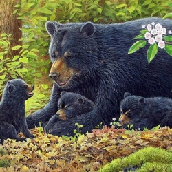 Пазл: Медведица и медвежата