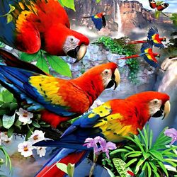 Пазл: Красивые попугаи