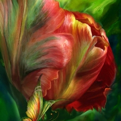 Пазл: Великолепный тюльпан