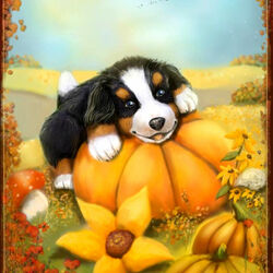 Пазл: Осенний щенок