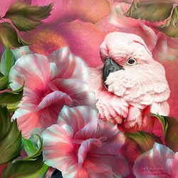 Пазл: Цветы и попугаи
