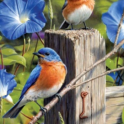 Пазл: Синие птицы на садовых воротах