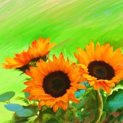 Пазл: Солнечный цветок