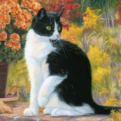 Пазл: Чёрно-белый кот