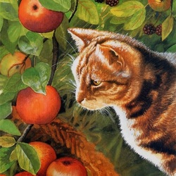 Пазл: Кот и яблоки