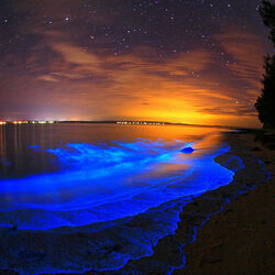Пазл: Светящиеся озера Джипсленд