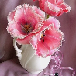 Пазл: Бахромчатые тюльпаны