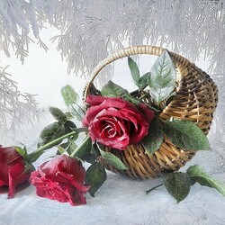 Пазл: Розы на снегу