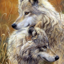 Пазл: Волчья пара