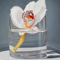 Пазл: Орхидея в стакане