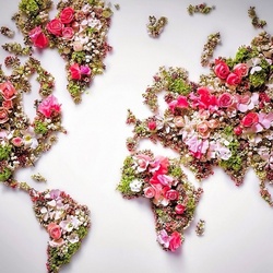 Пазл: Карта из цветов