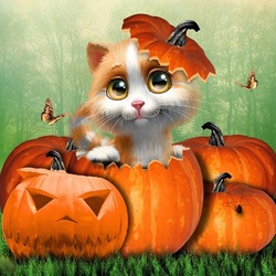 Пазл: Хэллоуинский котенок