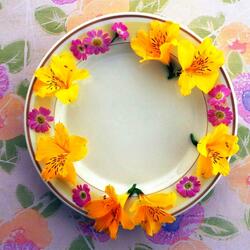 Пазл: Цветы на тарелке