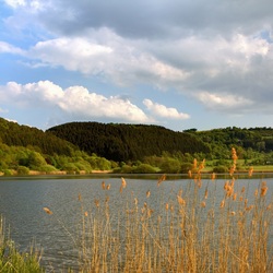 Пазл: Озеро возле деревни