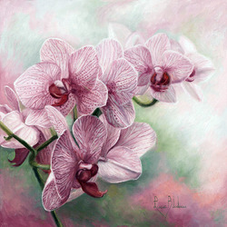 Пазл: Ветка орхидеи