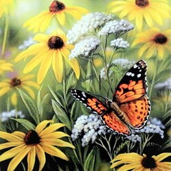 Пазл: Бабочка в цветах