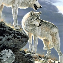 Пазл: Белые волки