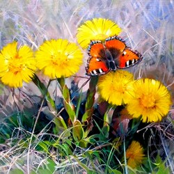 Пазл: Бабочка на цветке
