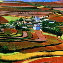 Пазл: Разноцветные поля Китая