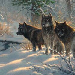 Пазл: Три волка