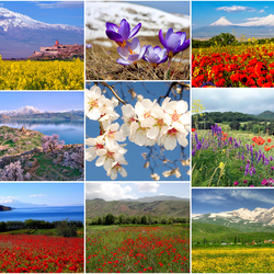 Пазл: Армения весной