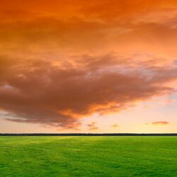 Пазл: Оранжевые облака в поле