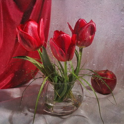 Пазл: Красные тюльпаны