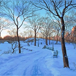 Пазл: Зима в Центральном парке