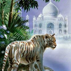 Пазл: Белый тигр