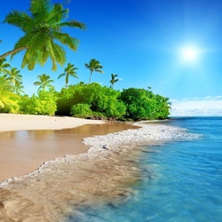 Пазл: Солнце, море, пальмы