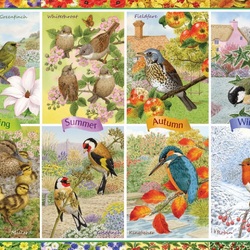 Пазл: Птичий календарь